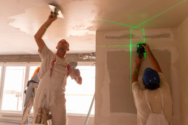 Best Mold Remediation for Healthcare Facilities  in Little Flock, AR
